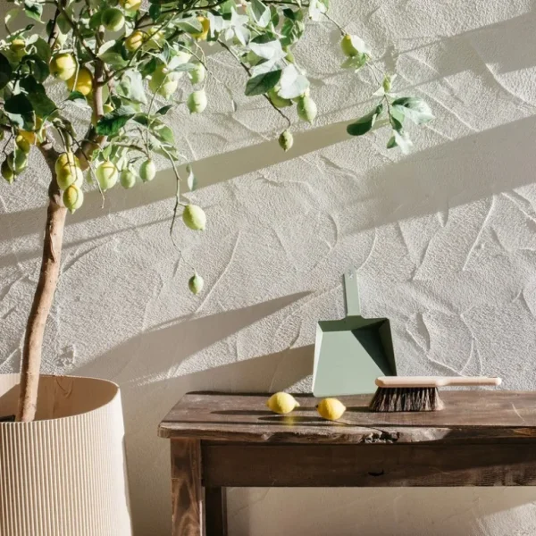 Andrée Jardin Brosserie<Balayette Craft Hêtre,