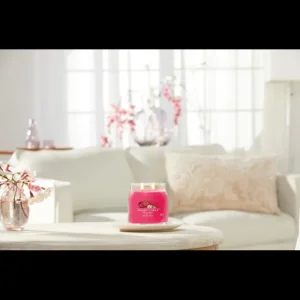 Yankee Candle Bougies Parfumées<Bougie Parfumée Framboise Rouge,