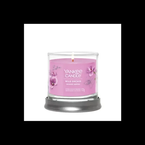 Yankee Candle Bougies Parfumées<Bougie Parfumée Orchidée Sauvage,