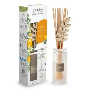 ESTEBAN Diffuseurs De Parfum D'Intérieur<Bouquet parfumé Ambre et Baume,