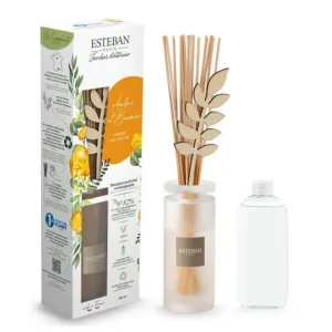 ESTEBAN Diffuseurs De Parfum D'Intérieur<Bouquet parfumé Ambre et Baume,