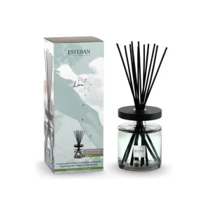 ESTEBAN Diffuseurs De Parfum D'Intérieur<Bouquet parfumé Ellipse 500 ml Pur Lin, Estéban