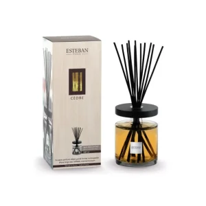 ESTEBAN Diffuseurs De Parfum D'Intérieur<Bouquet parfumé Ellipse 500 ml Cèdre, Estéban