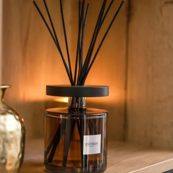 ESTEBAN Diffuseurs De Parfum D'Intérieur<Bouquet parfumé Ellipse 500 ml Vanille d'Or, Estéban