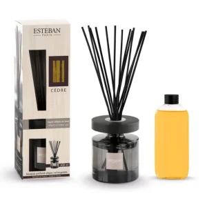ESTEBAN Diffuseurs De Parfum D'Intérieur<Bouquet parfumé Ellipse Cèdre,