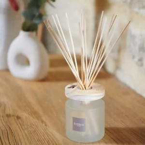 ESTEBAN Diffuseurs De Parfum D'Intérieur<Bouquet parfumé Ellipse Monoï Soleil,