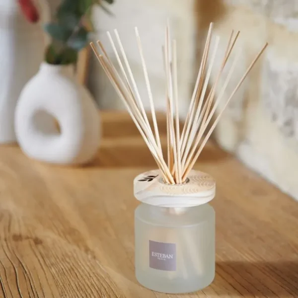 ESTEBAN Diffuseurs De Parfum D'Intérieur<Bouquet parfumé Ellipse Monoï Soleil,