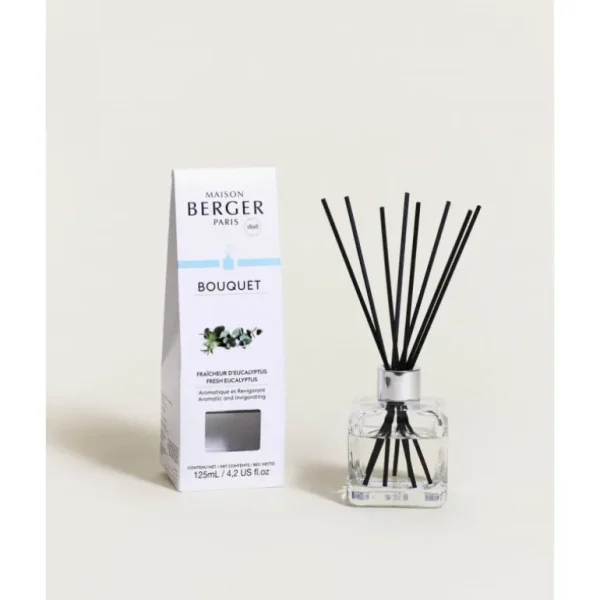MAISON BERGER Diffuseurs De Parfum D'Intérieur<Bouquet parfumé Fraîcheur eucalyptus,
