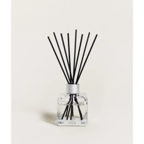 MAISON BERGER Diffuseurs De Parfum D'Intérieur<Bouquet parfumé Fraîcheur eucalyptus,