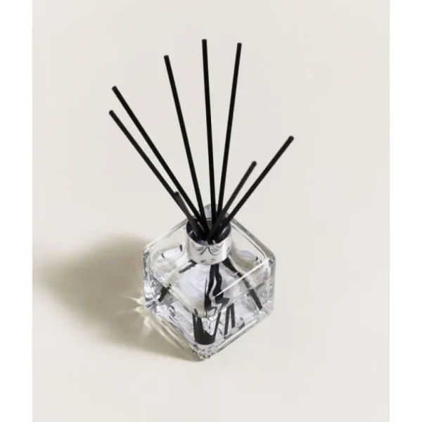 MAISON BERGER Diffuseurs De Parfum D'Intérieur<Bouquet parfumé Fraîcheur eucalyptus,