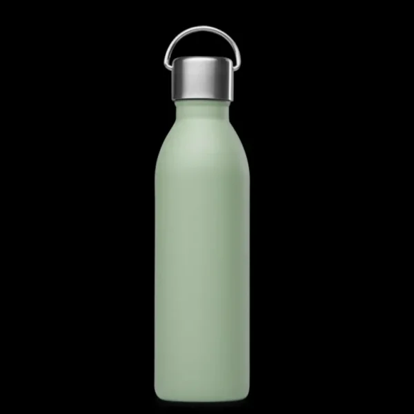 Qwetch Bouteilles Et Gourdes<Bouteille isotherme Active Matt Tilleul,