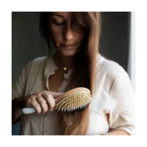 Bachca Les Accessoires<Brosse à Cheveux Démêlage et Brillance,