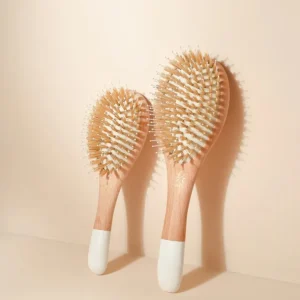 Bachca Les Accessoires<Brosse à Cheveux Démêlage et Brillance,