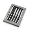 AMEFA Couteaux<Coffret 6 couteaux à steak Bongo XL,