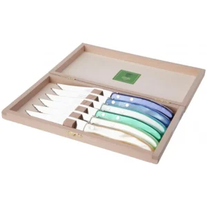 DOZORME Couteaux<Coffret 6 couteaux à steak Berlingot panaché Bleu Vert, Claude