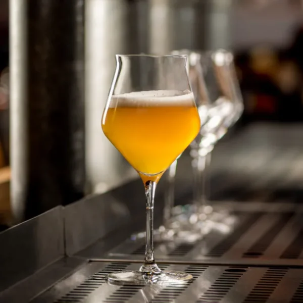 Lehmann Verres À Bière<Coffret 6 verres à bières 44cl Craft,