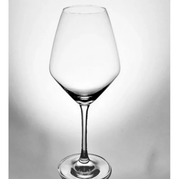 SCHOTT ZWIESEL Verres Oenologiques | Verres À Vin<Coffret 6 verres à dégustation One,