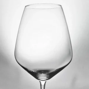 SCHOTT ZWIESEL Verres Oenologiques | Verres À Vin<Coffret 6 verres à dégustation One,