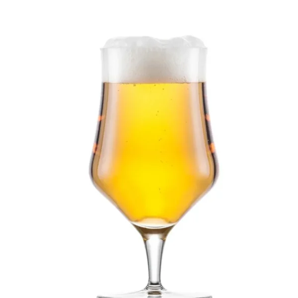 SCHOTT ZWIESEL Verres À Bière<Coffret 4 verres Craft Beer Classic,