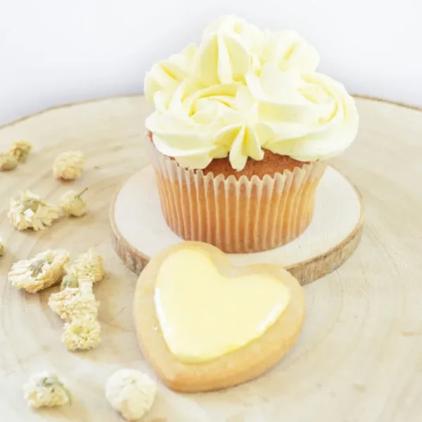 ScrapCooking Arômes Et Colorants<Colorant alimentaire naturel en poudre Lemon,