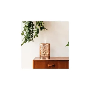 ESTEBAN Diffuseurs De Parfum D'Intérieur<Diffuseur brume Edition Cuivre & Lumière,