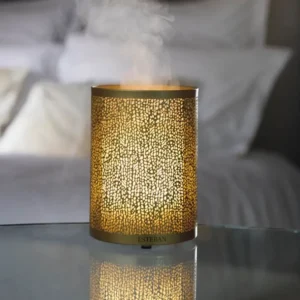 ESTEBAN Diffuseurs De Parfum D'Intérieur<Diffuseur brume Edition limitée Or & Lumière,