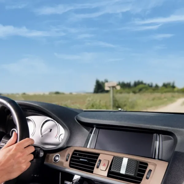 ESTEBAN Diffuseurs De Parfum D'Intérieur<Diffuseur de voiture Orange et Thé Vert,
