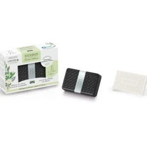 ESTEBAN Diffuseurs De Parfum D'Intérieur<Diffuseur de voiture Thé en Fleur,