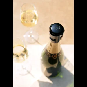 L'ATELIER DU VIN Ustensiles Pour Le Vin<Gard'Bulles Métal,