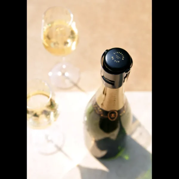 L'ATELIER DU VIN Ustensiles Pour Le Vin<Gard'Bulles Métal,