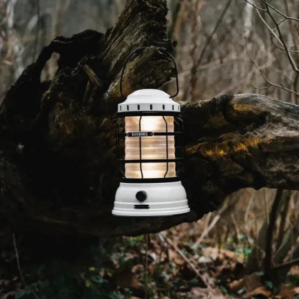 Barebones Lampes Et Suspensions<Lanterne Forest,