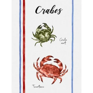 Sud Etoffe Torchons<Lot de 3 torchons Fruits de Mer 50 x 70 cm,