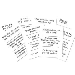 Marc Vidal Les Jeux D'Intérieur<100 phrases impossibles à répéter vite,