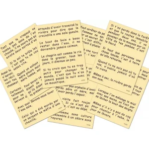 Marc Vidal Les Jeux D'Intérieur<200 proverbes Africains,