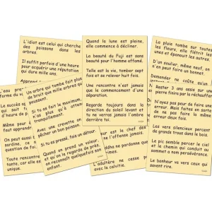 Marc Vidal Les Jeux D'Intérieur<200 proverbes Japonais,