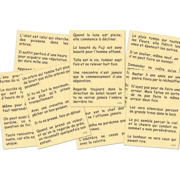 Marc Vidal Les Jeux D'Intérieur<200 proverbes Japonais,