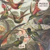 Kiub Les Jeux D'Intérieur<Puzzle de 1000 pièces Oiseaux,