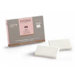 ESTEBAN Diffuseurs De Parfum D'Intérieur<Recharge parfumée pour diffuseur de voiture Iris Cachemire,