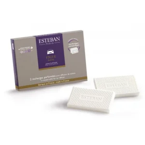 ESTEBAN Diffuseurs De Parfum D'Intérieur<Recharge parfumée pour diffuseur de voiture Figue Noire,