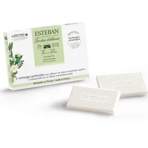 ESTEBAN Diffuseurs De Parfum D'Intérieur<Recharge parfumée pour diffuseur de voiture Thé en Fleur,