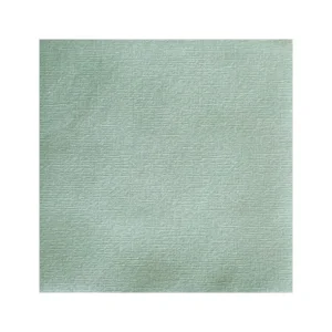 Françoise PAVIOT Serviettes En Papier<Serviettes en papier Uni Vert sauge,