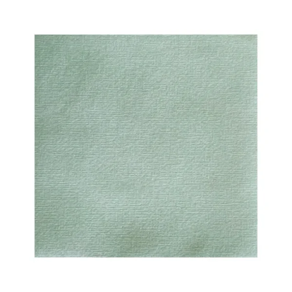 Françoise PAVIOT Serviettes En Papier<Serviettes en papier Uni Vert sauge,