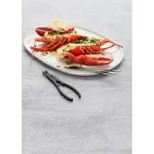 Point Virgule Ustensiles Pour Les Fruits De Mer<Set 5 pièces Homard Acier Noir,
