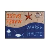 Salonloewe Efia Tapis<Tapis 50x75cm Marée,
