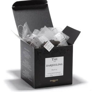 DAMMANN FRERES Les Thés Et Tisanes<Thé Darjeeling en sachets, Dammann Frères
