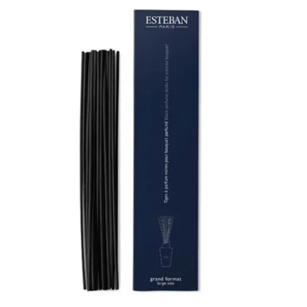 ESTEBAN Diffuseurs De Parfum D'Intérieur<Tige à parfum petit format,