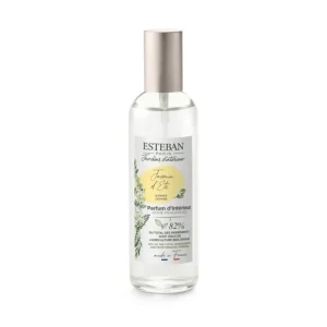 ESTEBAN Diffuseurs De Parfum D'Intérieur<Vaporisateur 100 ml Jasmin d'été,