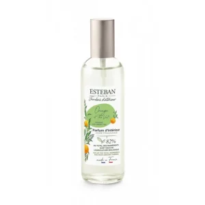 ESTEBAN Diffuseurs De Parfum D'Intérieur<Vaporisateur 100 ml Orange et Thé vert,