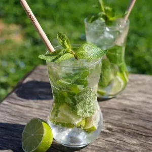 COOKUT Verres À Cocktail<Verres à Mojito Mojo,